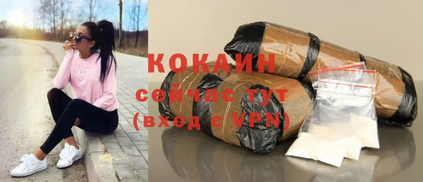 mdpv Богородицк