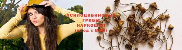 шишки Богородск