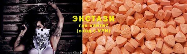 mdpv Богородицк