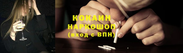 mdpv Богородицк