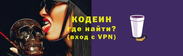 шишки Богородск