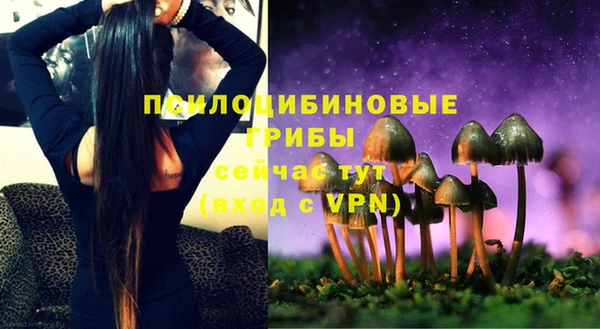 мдпв Заволжье