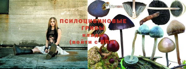 гашишное масло Богданович