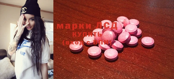 mdpv Богородицк