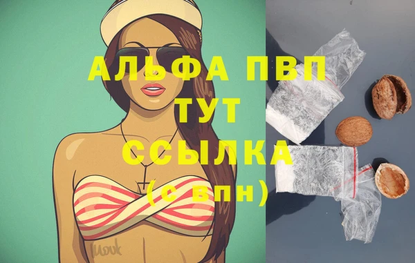 шишки Богородск