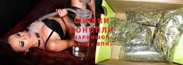 mdpv Богородицк
