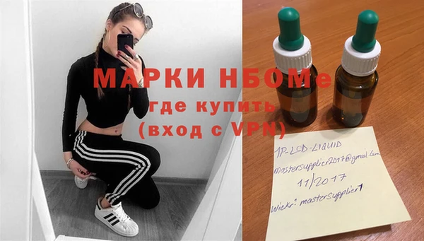 шишки Богородск