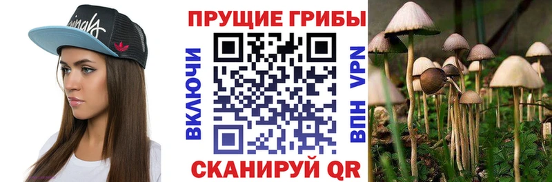 Галлюциногенные грибы прущие грибы  Невель 